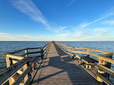 P000266