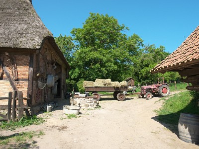 P000065