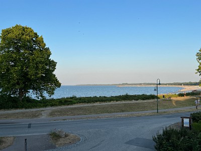 P000253