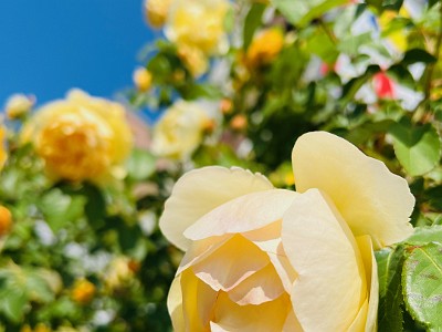 P000259