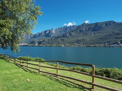 P00051