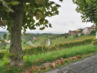 P00303