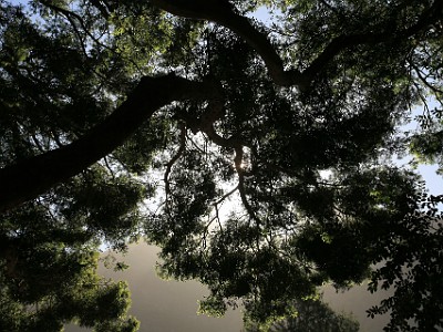 IMG 7568