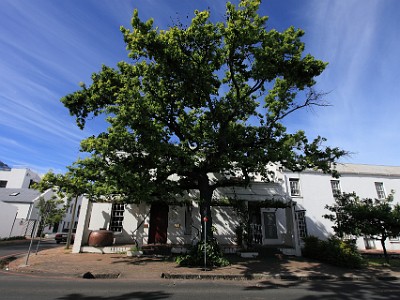 IMG 7659