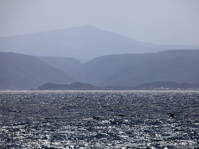 IMG 8032