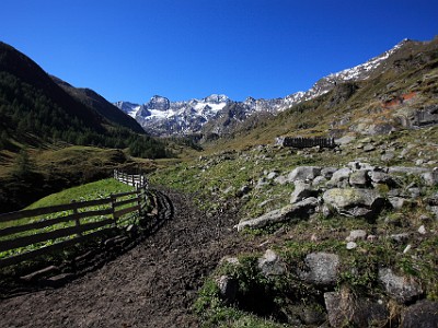 IMG 4623