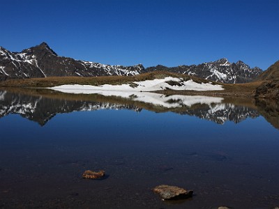 IMG 4643