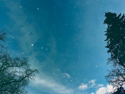 IMG 8567