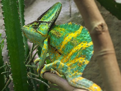 P1040624